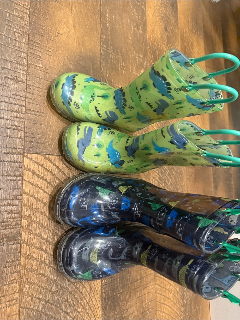Boys Dino  rainboots.